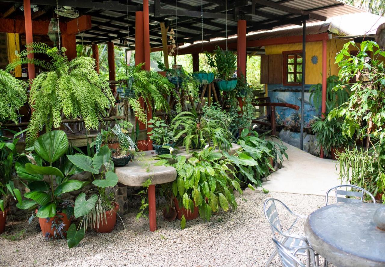 Coyote Rooms Cabuya  Экстерьер фото