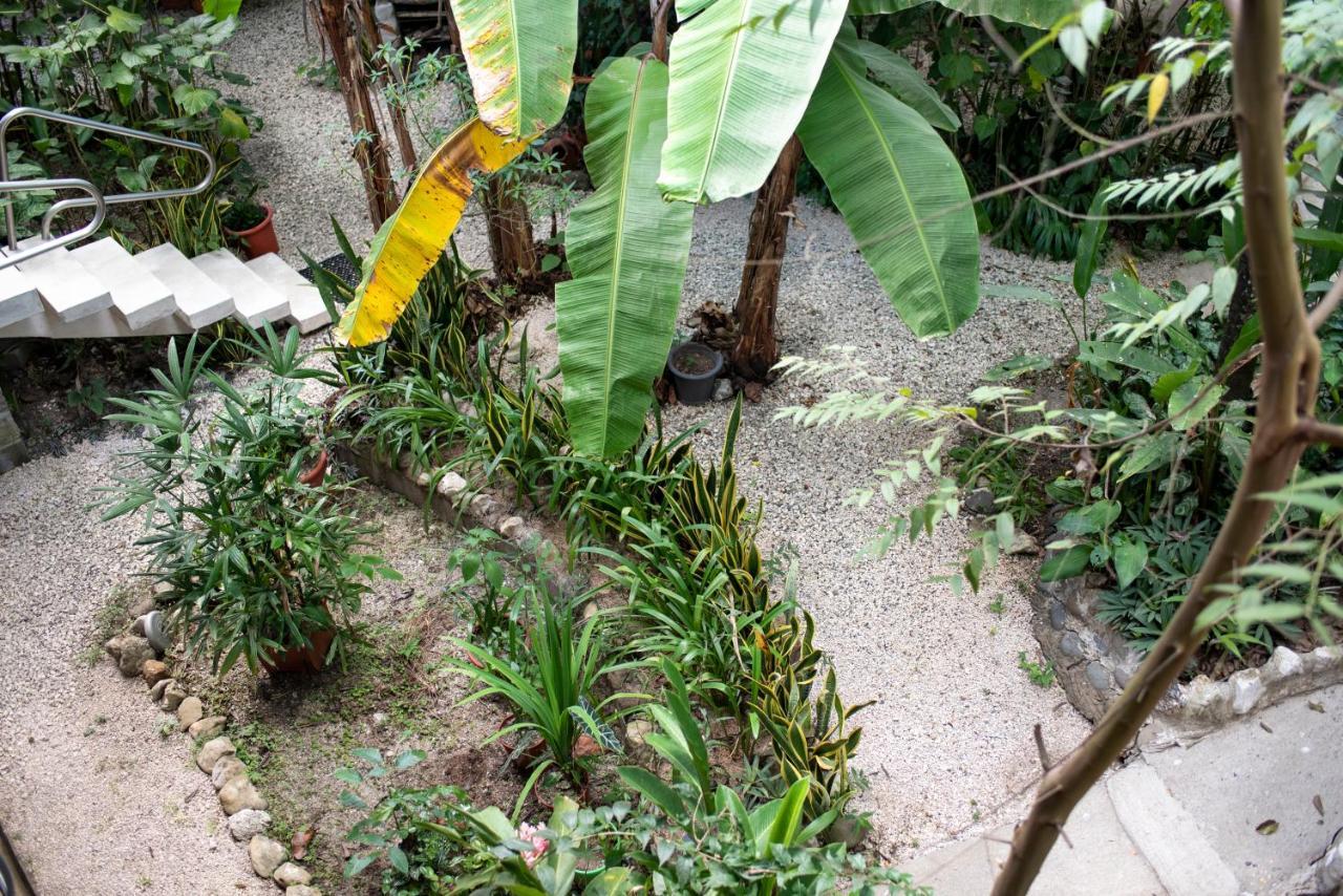 Coyote Rooms Cabuya  Экстерьер фото